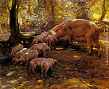 Sir Alfred James Munnings Canvas Paintings - Pigs In A Wood, Cornwall